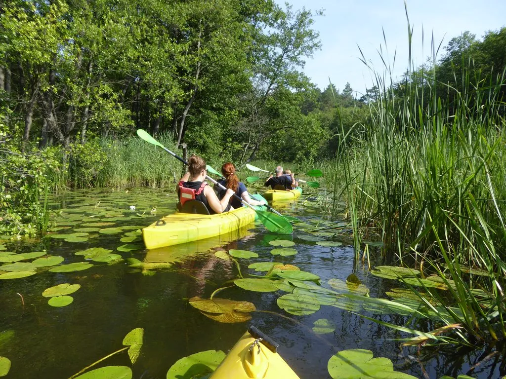adaptowany kajak dla os&oacute;b niepełnosprawnych