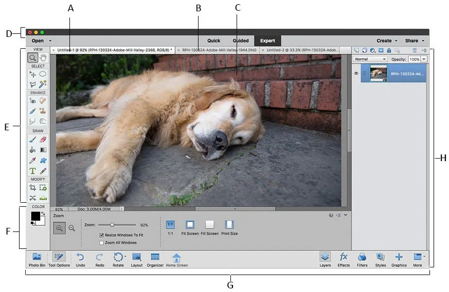 Adobe Photoshop Elements interface