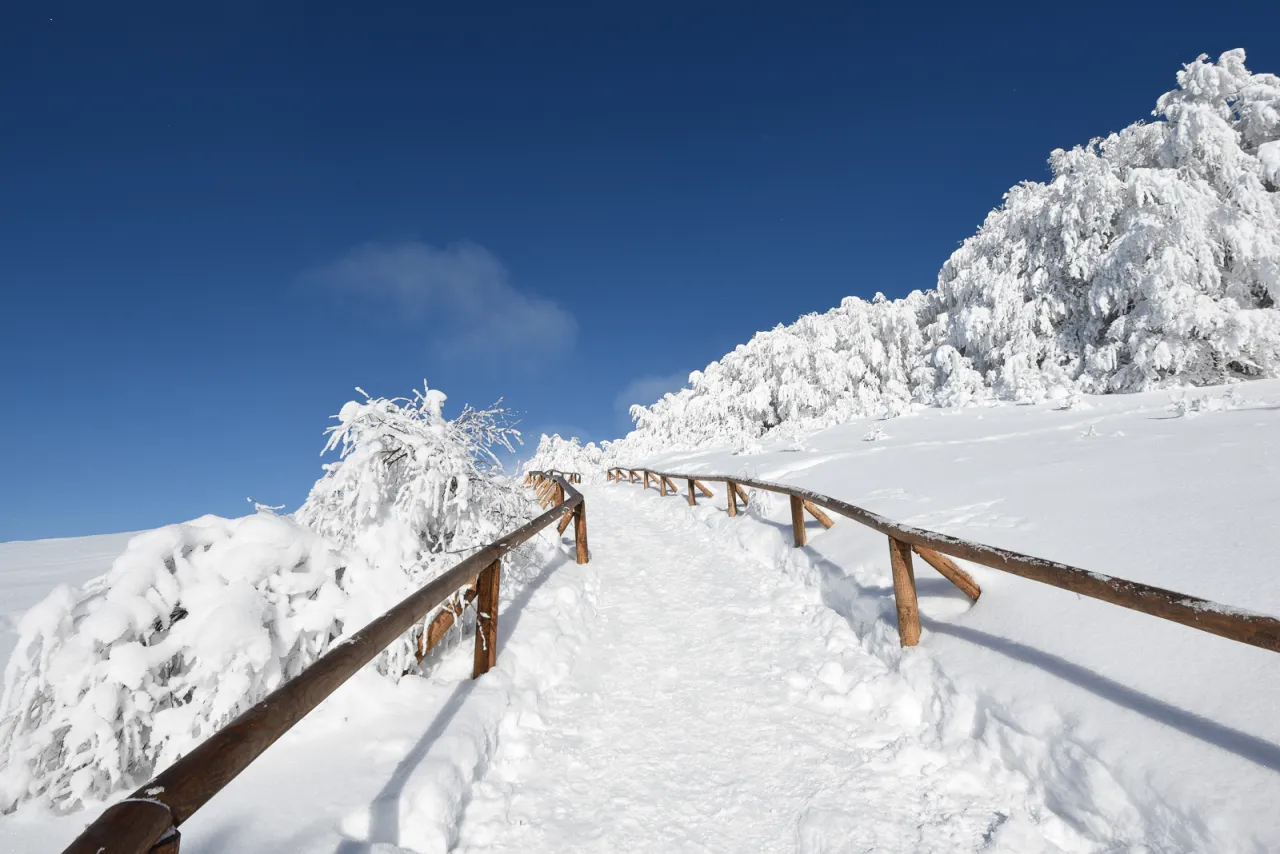 Bieszczady zimą widok na szlaki turystyczne