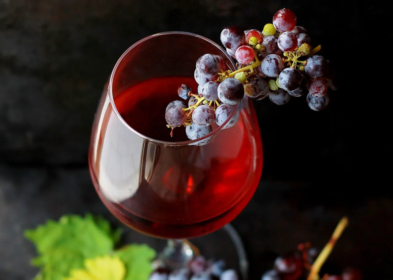 różnorodne owoce i kwiaty na wino domowe