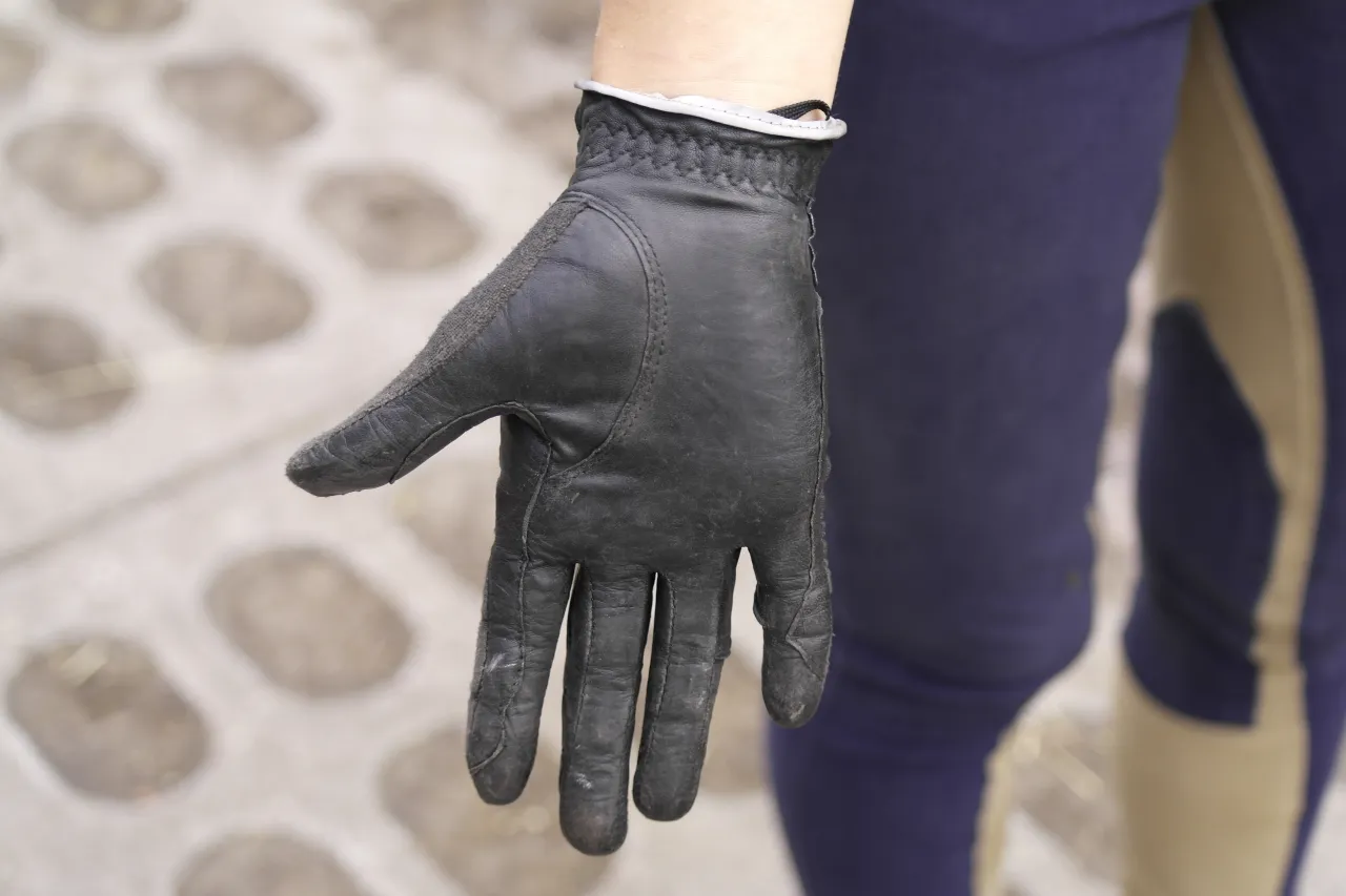 por&oacute;wnanie modeli rękawiczek jeździeckich Fouganza