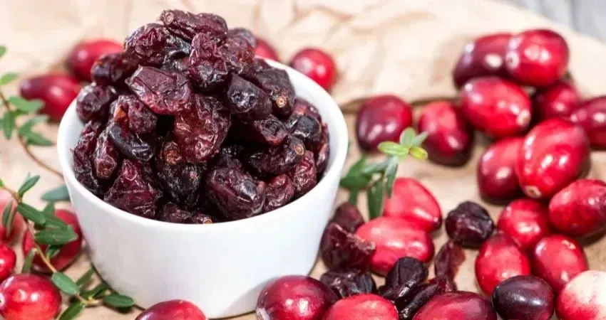 Zdjęcie Czy pies może jeść żurawinę? Sprawdź, co musisz wiedzieć o ryzyku