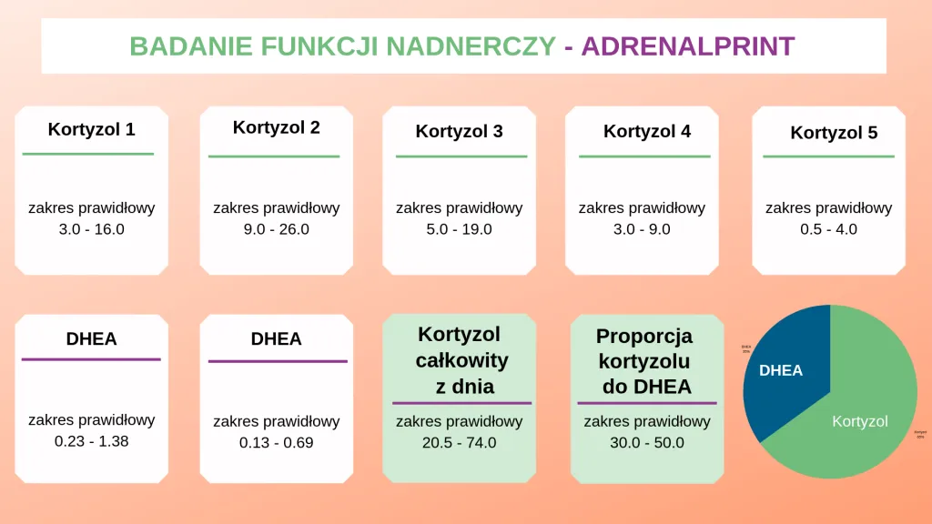 cennik badanie kortyzolu laboratorium