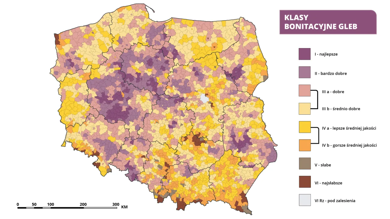 Mapa Polski z podziałem na klasy bonitacyjne gleb. Sprawdź, gdzie sprawdzić klasę ziemi i jakie są jej walory.