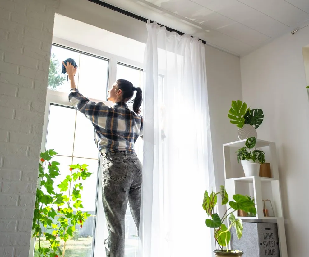 mycie okien wiosną, widok na kwitnące drzewa