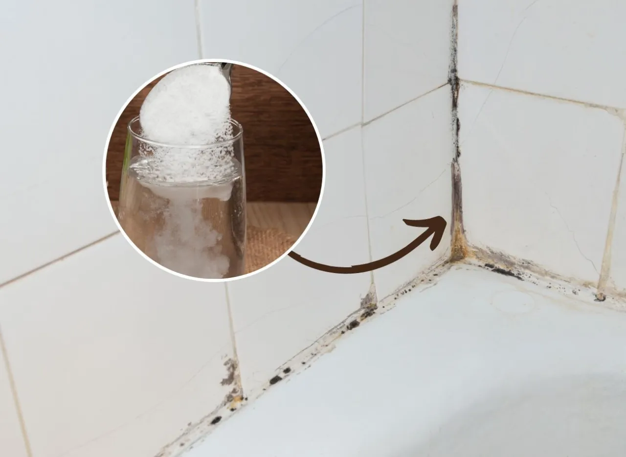 domowe sposoby na pleśń na fugach