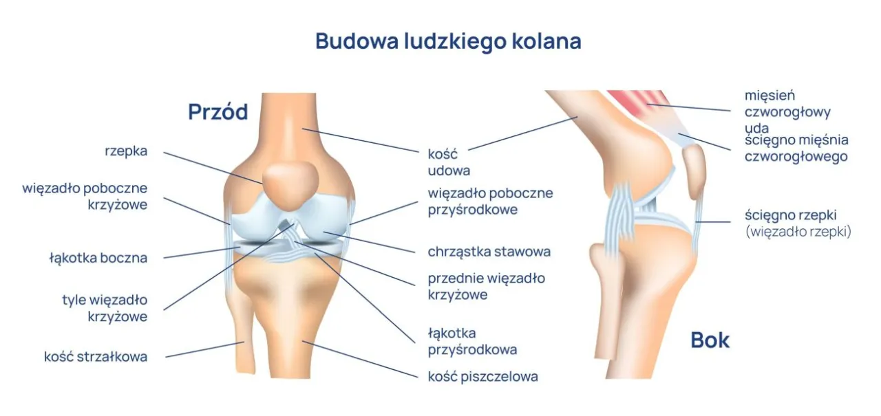 przyczyny b&oacute;lu staw&oacute;w infografika
