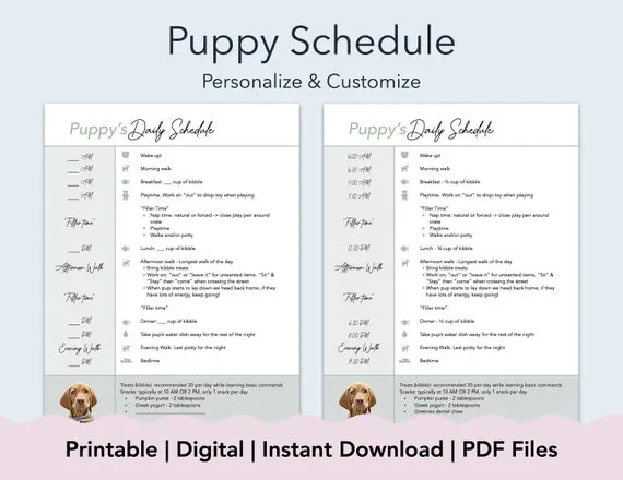 harmonogram dnia szczeniaka