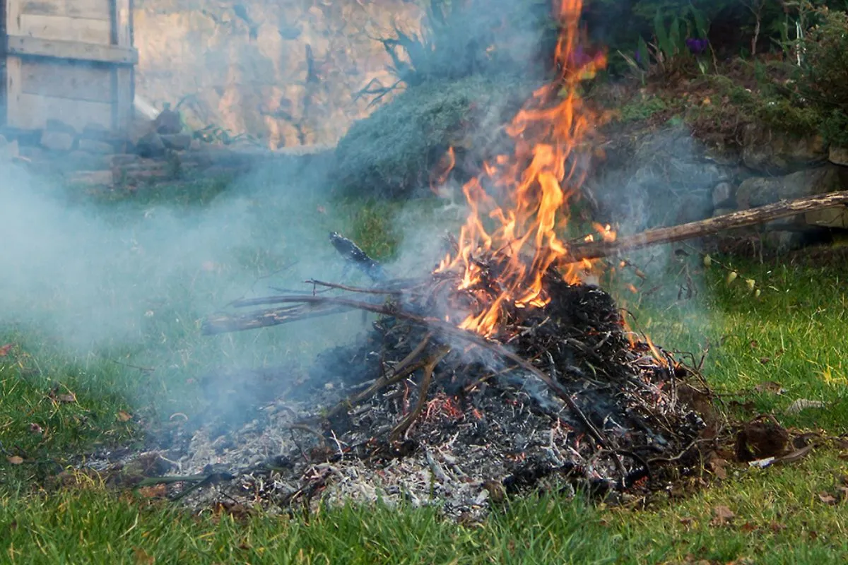ognisko na działce przepisy