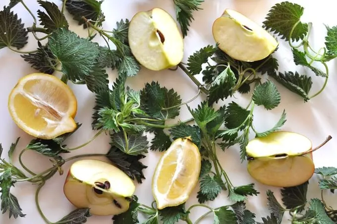 owoce i warzywa do soku z pokrzywy