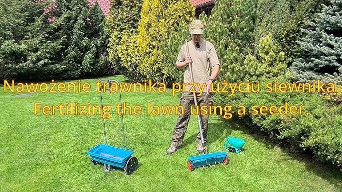 aplikacja nawozu siewnikiem do trawnika