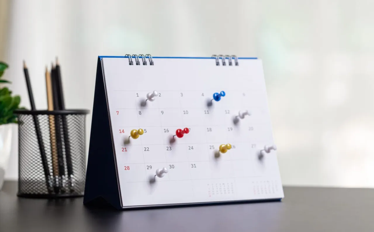 Infografika: Kto składa PIT-28 i najważniejsze terminy