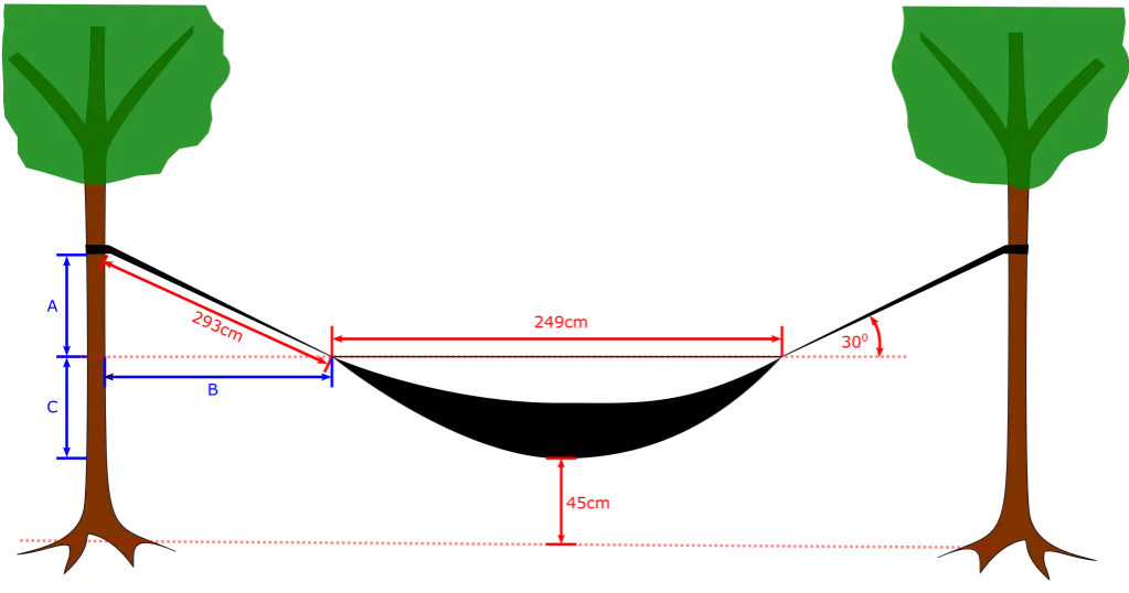 zdrowe drzewa do hamaka, średnica pnia