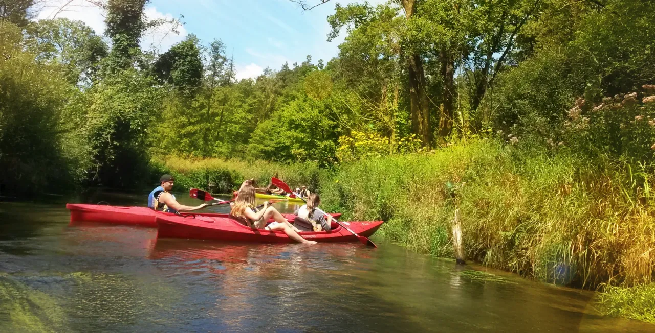 spływ kajakowy Wieprz Roztocze piękno natury