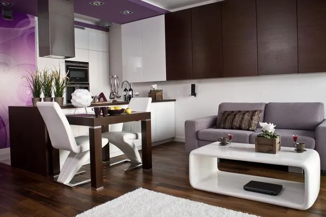 Nowoczesne wnętrze z meblami wenge jako akcentem