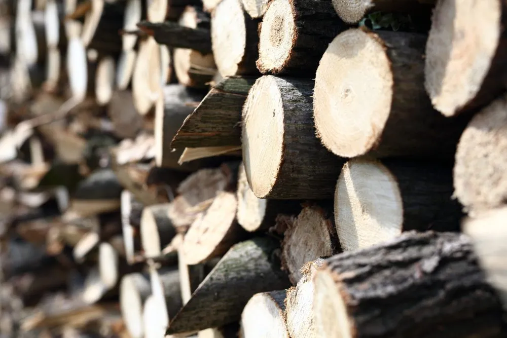 r&oacute;żne gatunki drewna kominkowego