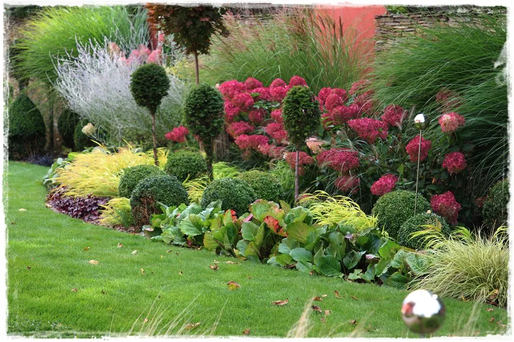 Rośliny do cienia przy ścieżce