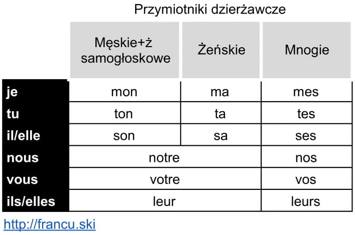 tabela odmiany francuskich zaimk&oacute;w dzierżawczych