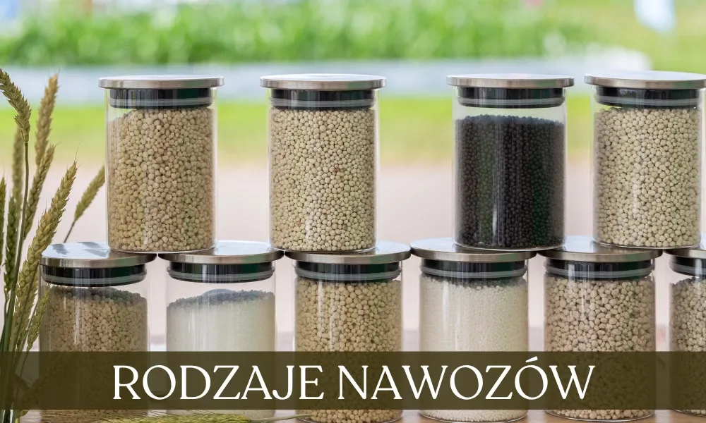 rodzaje nawozów do trawy granulowane płynne organiczne