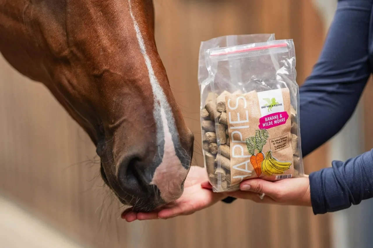 Koń jedzący banana, koń z właścicielem, zdrowe przysmaki dla konia