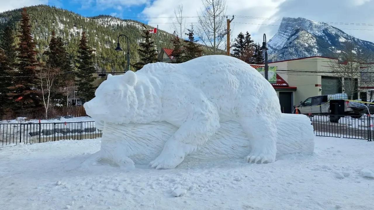 Nussskulpturen Preisklassen Vergleich