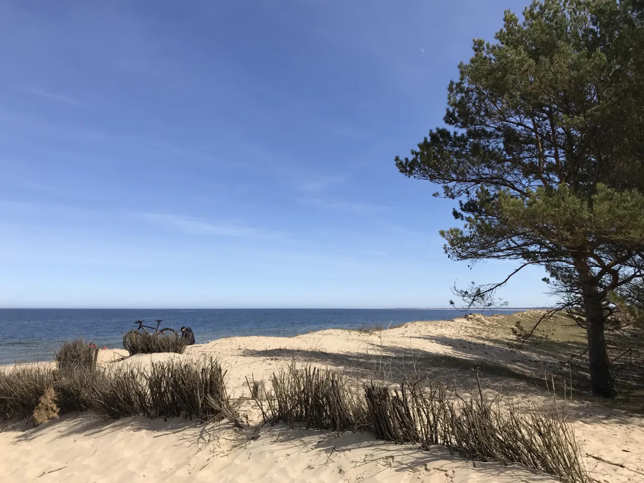 Wyspa Sobieszewska plaża rezerwat Ptasi Raj