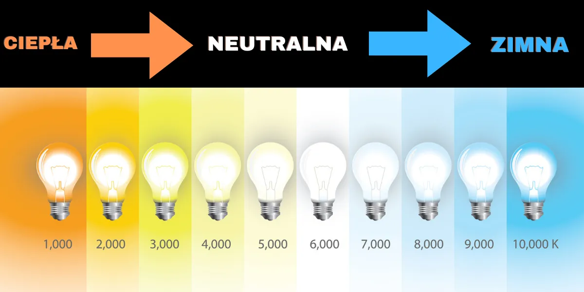 Barwy światła w kuchni infografika