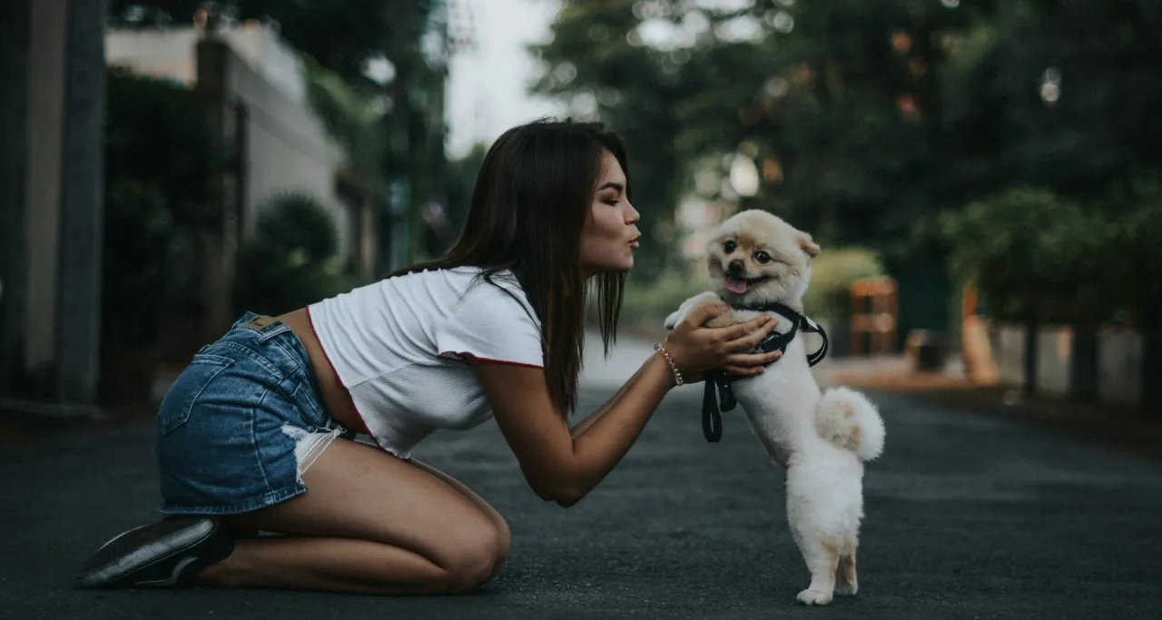 szczeniak socjalizacja z ludźmi i psami