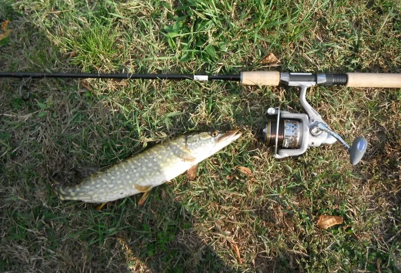 wędka spinningowa na szczupaka detale