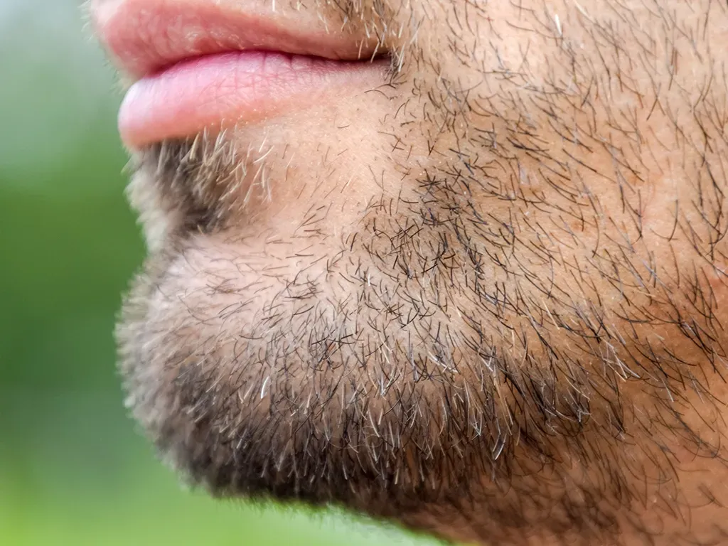 mężczyzna z zadbanym zarostem, genetyka zarostu