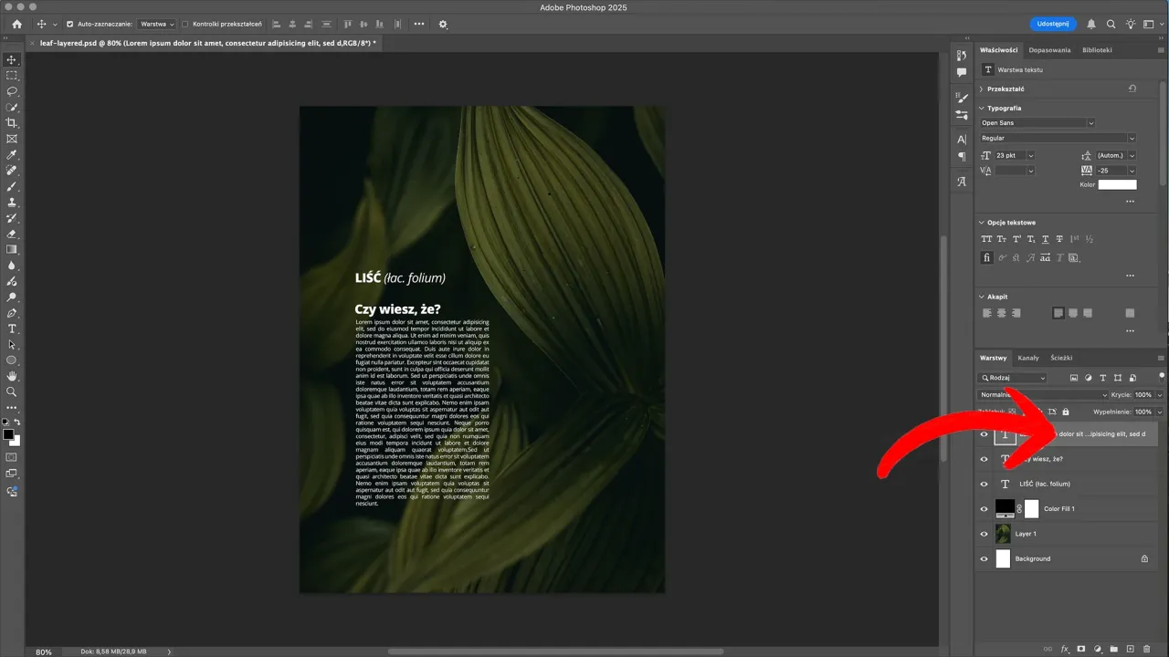 Niedestrukcyjna edycja Photoshop warstwy