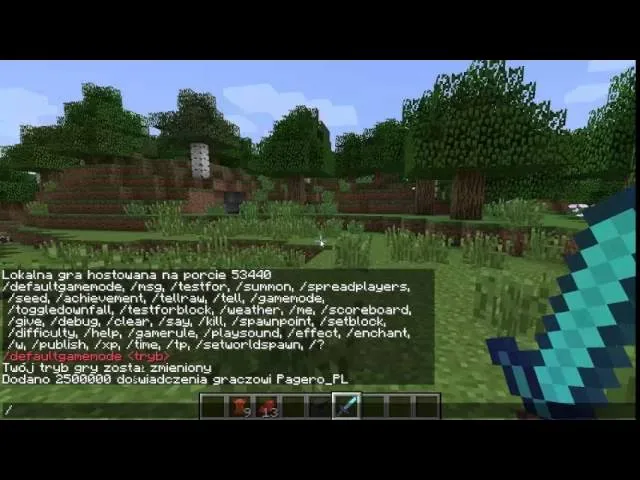 minecraft wpisywanie komendy gamemode survival