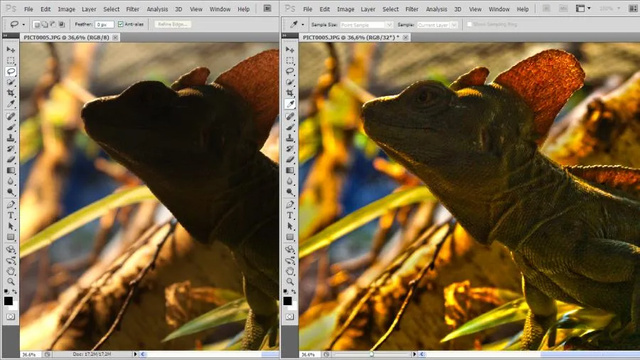przykłady zastosowań Adobe Photoshop grafika fotografia