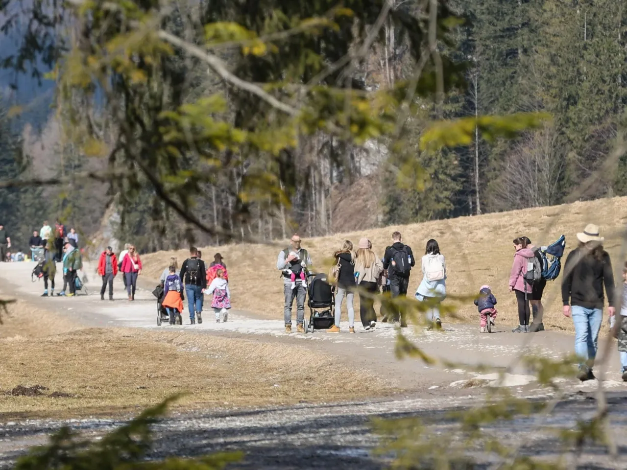 rodzina na szlaku w Dolinie Kościeliskiej