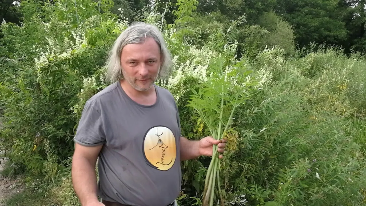 por&oacute;wnanie kopru z blekotem i szalejem