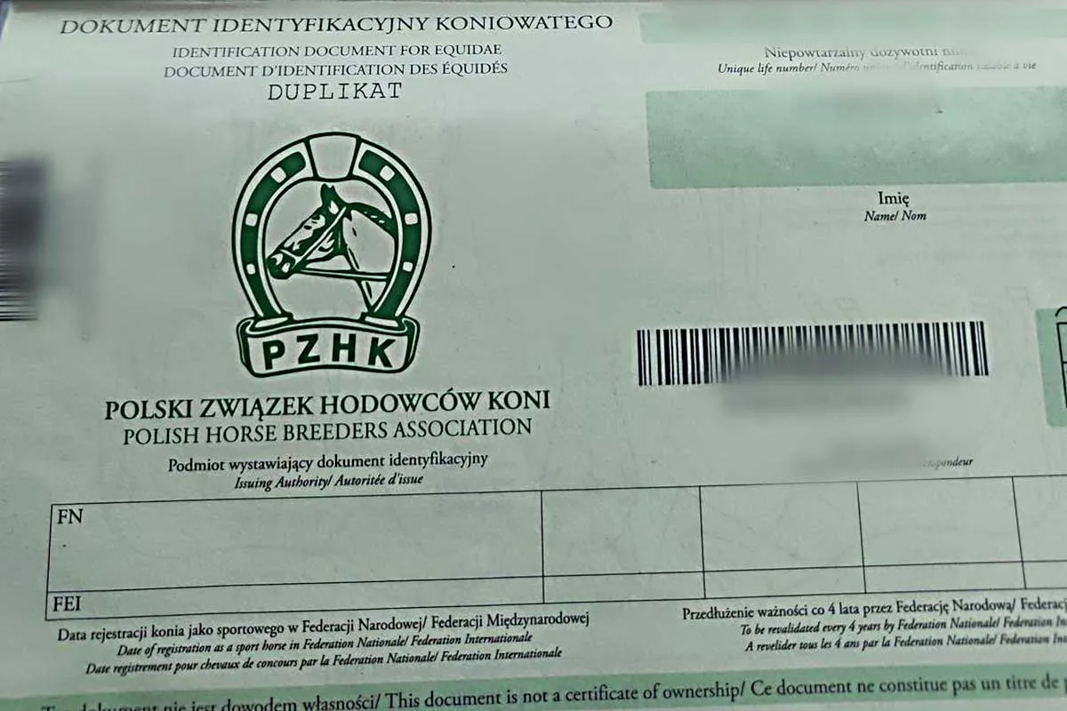 Dokument identyfikacyjny konia z logo PZHK. Widoczny jest numer identyfikacyjny, który jest odpowiednikiem chipu u konia.
