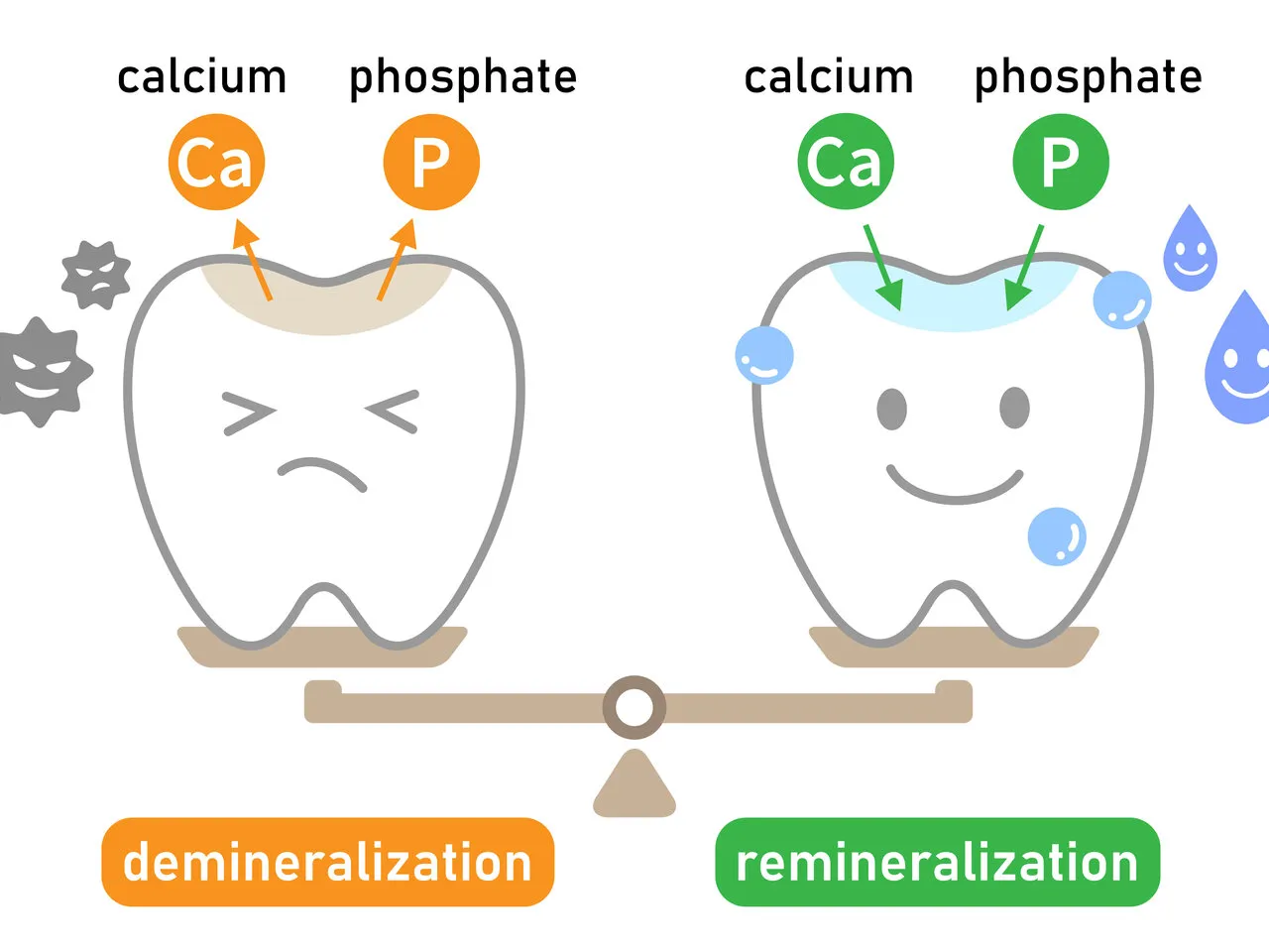 schemat działania fluoru na szkliwo zęba i remineralizacja