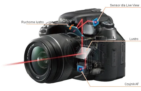 lustrzanka budowa matryca autofokus