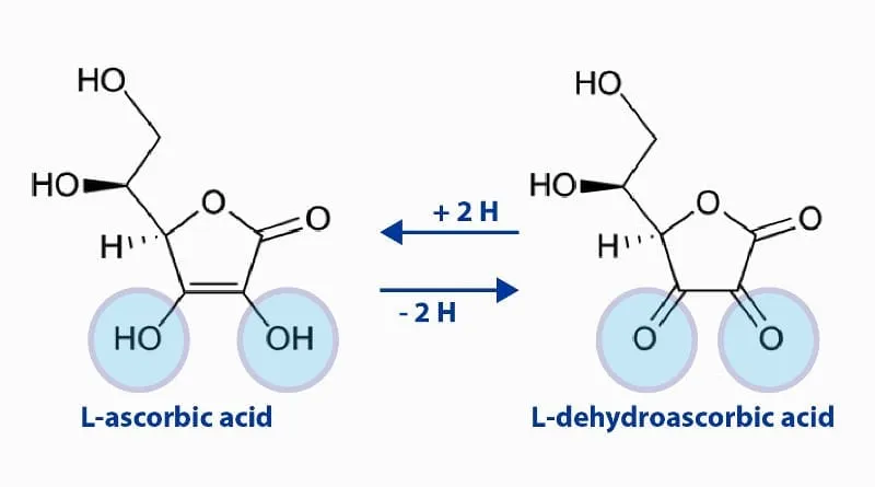 rutozyd i witamina C budowa chemiczna