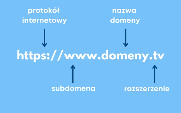 domena internetowa koncepcja
