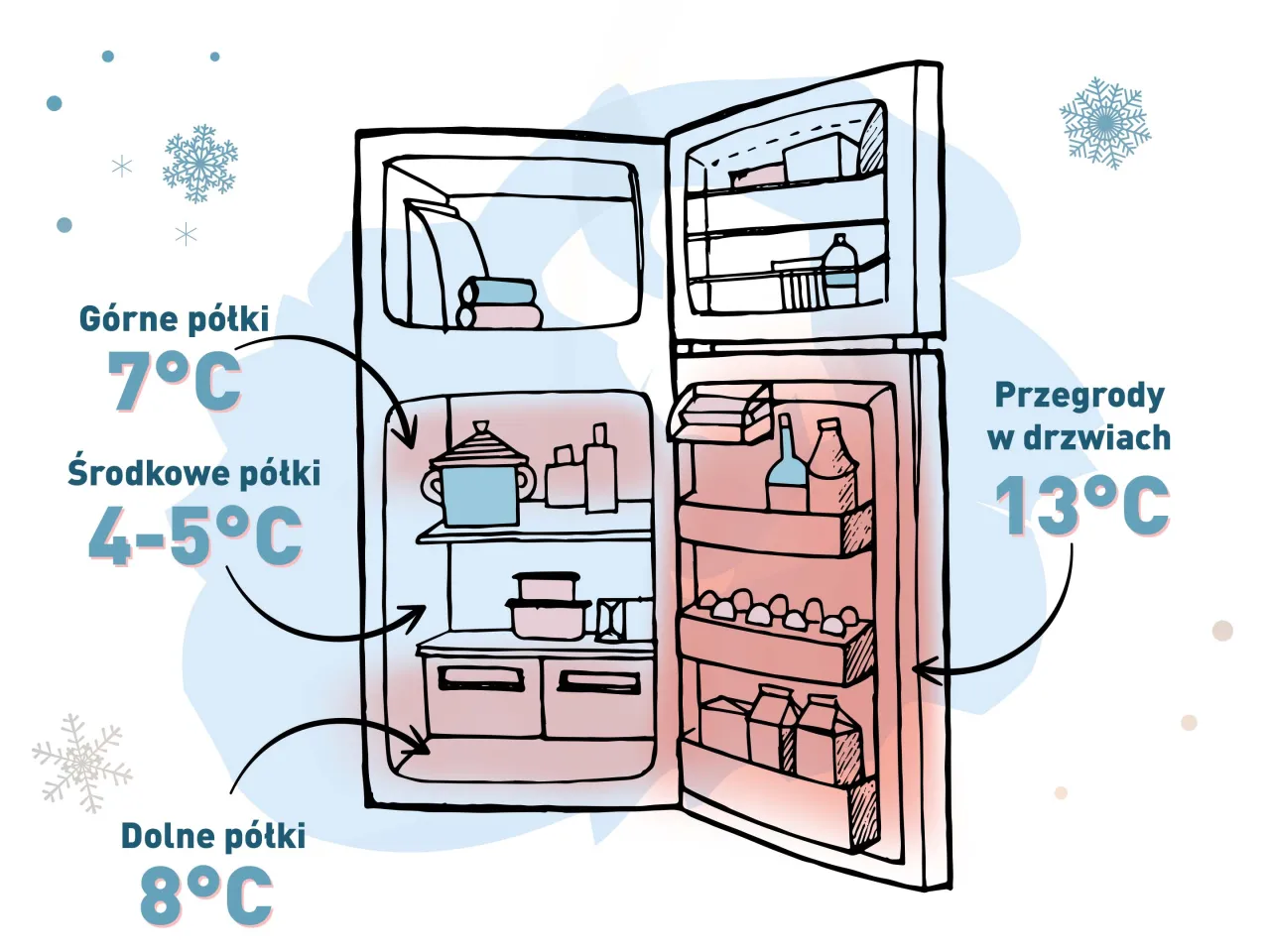 Rozkład temperatur w lodówce schemat