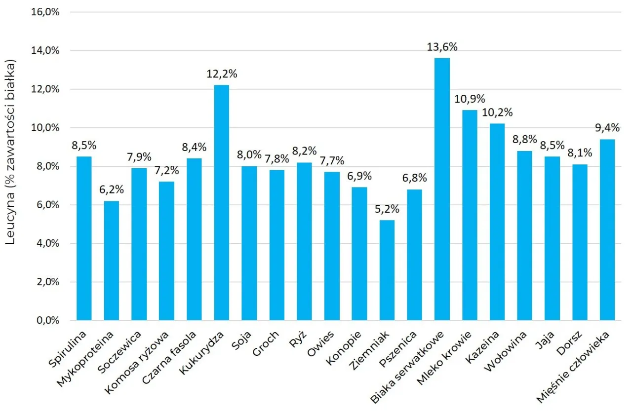 różnica w przyswajalności białka roślinnego i zwierzęcego wykres