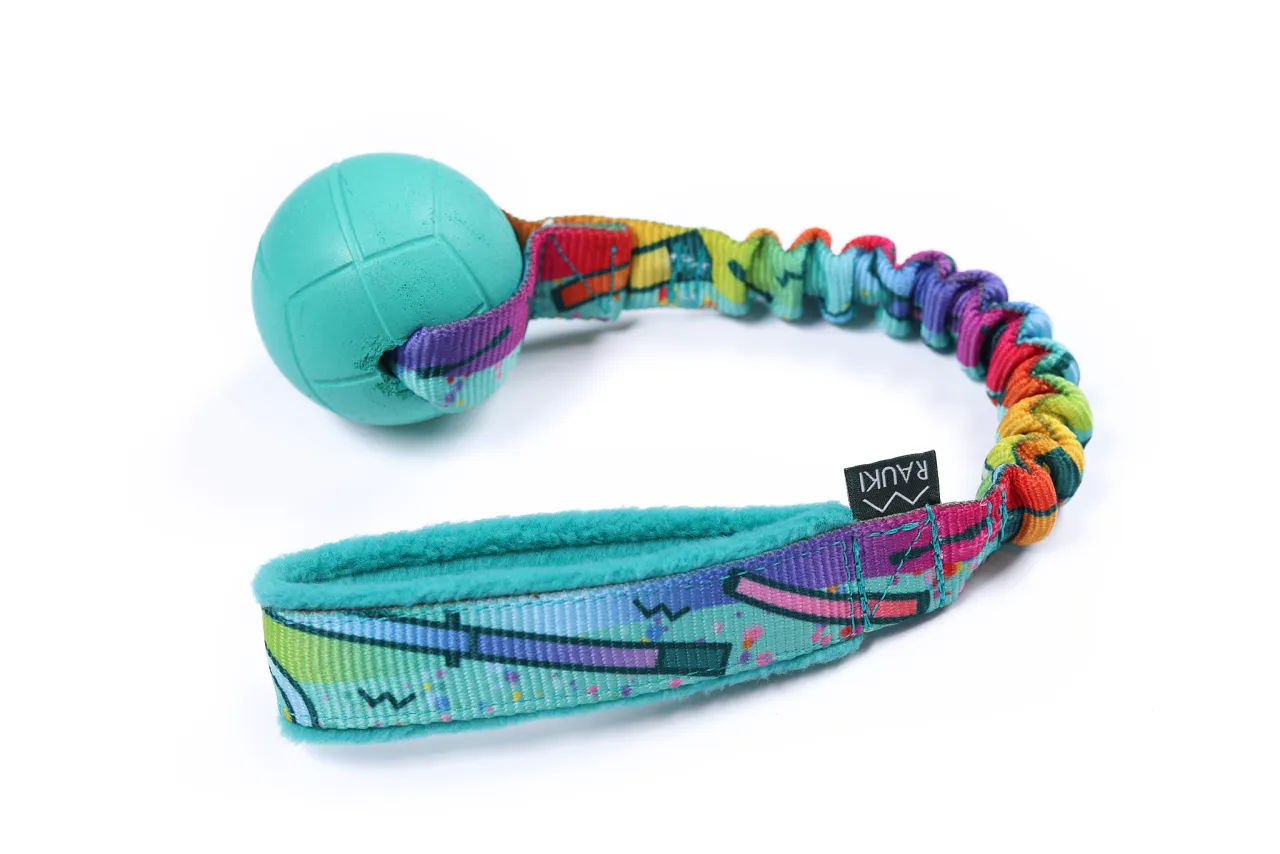 szarpak dla psa DIY z piłką i rączką