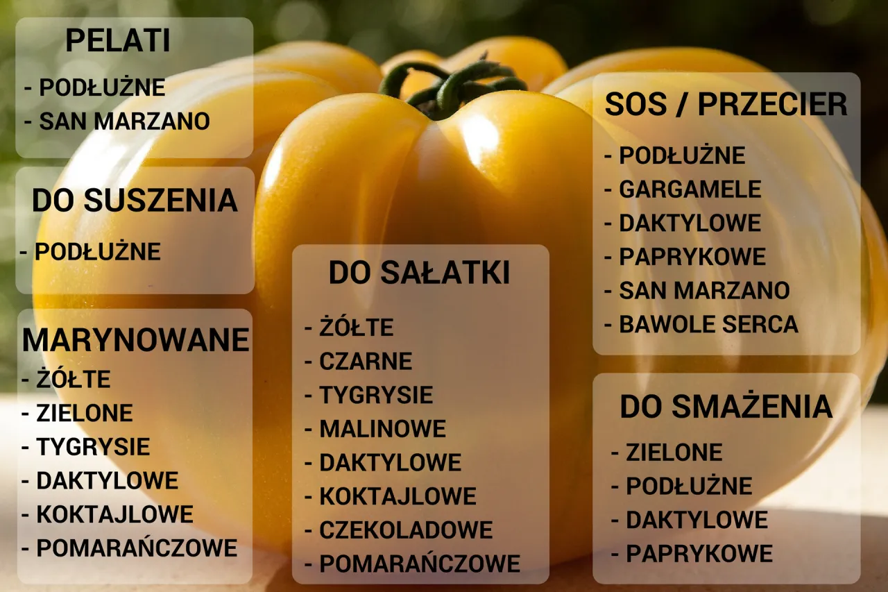 r&oacute;żne odmiany pomidor&oacute;w na sos
