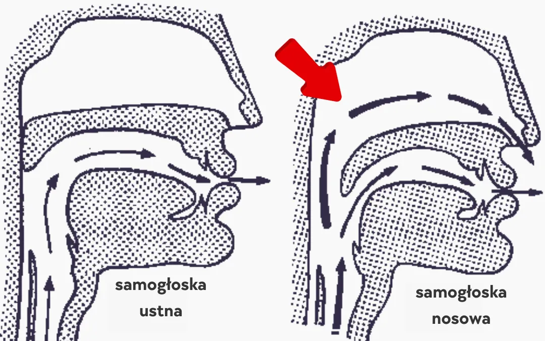 francuskie samogłoski nosowe przykłady