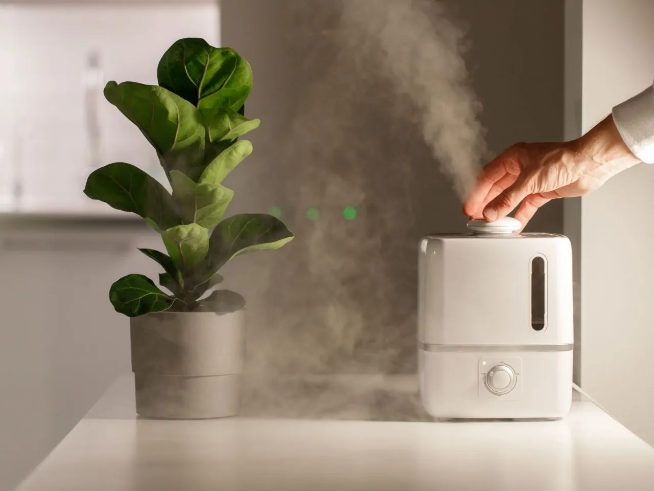 czyszczenie nawilżacza krok po kroku