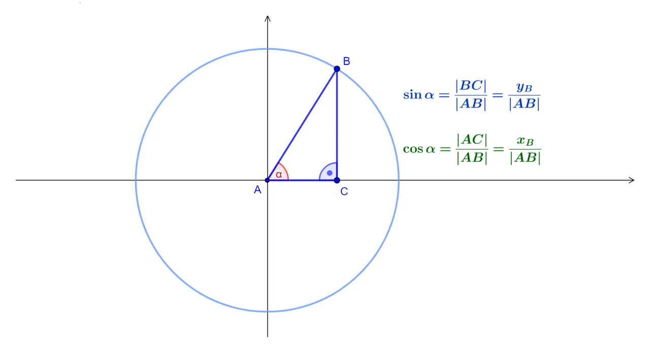 Koło trygonometryczne z zaznaczonym kątem i wsp&oacute;łrzędną y jako sinusem