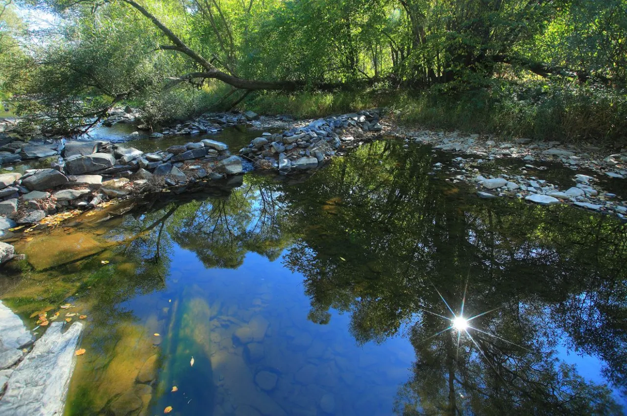 Źr&oacute;dło Odry Fidlův kopec altana