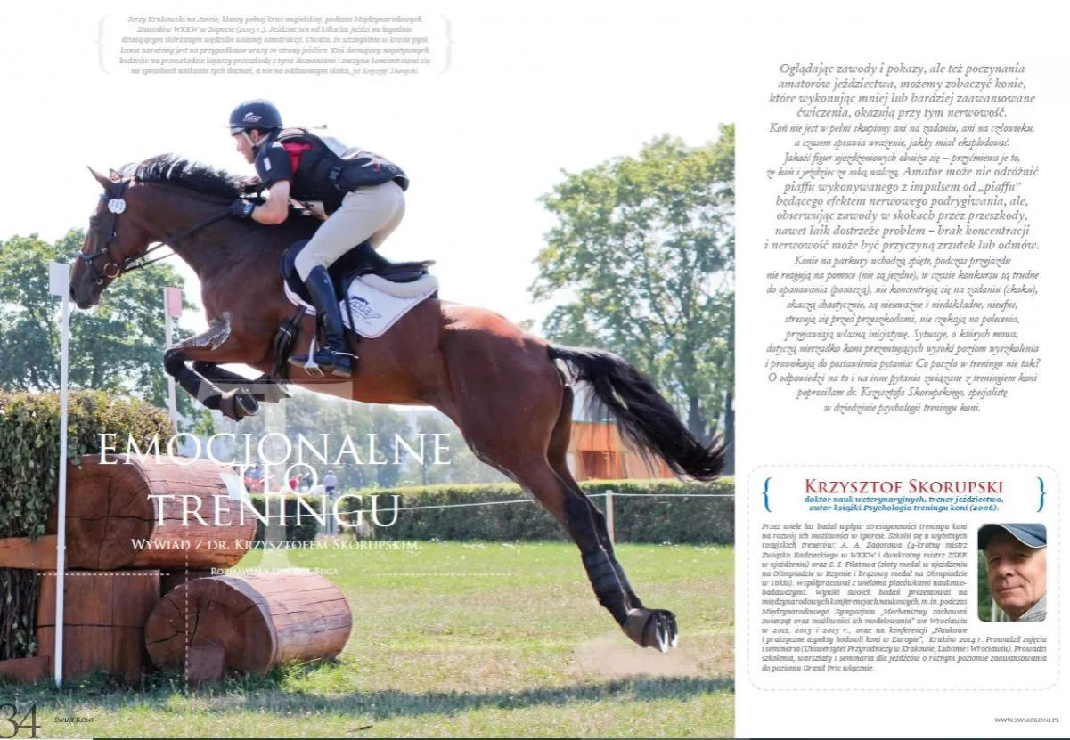 Koń i jeździec rozwiązujący problem podczas treningu