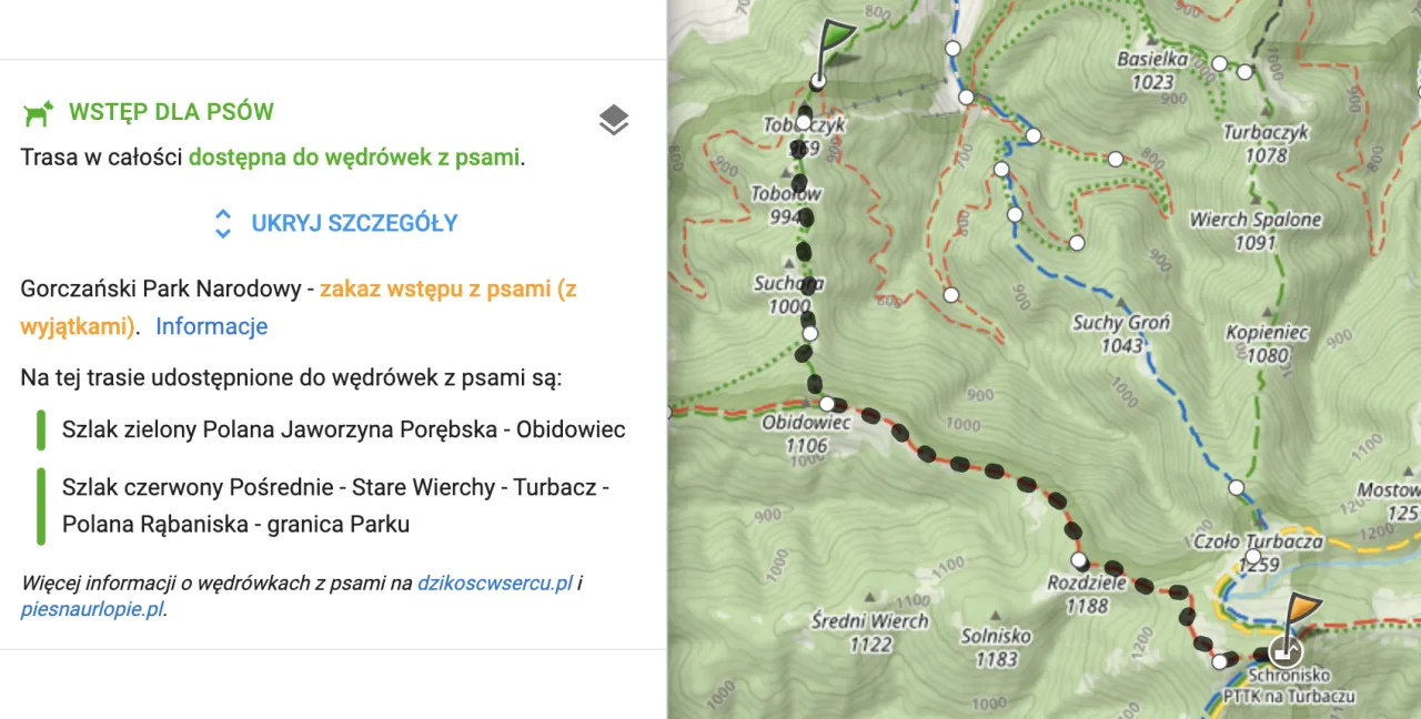 Pies na szlaku g&oacute;rskim smycz
